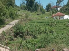 Realisasikan Dana Desa Pemdes Sukarapih Bangun TPT Jalan