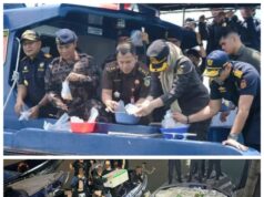 Bea Cukai Batam Gagalkan Penyeludupan 795 Benih Lobster .Dengan Nilai Rp.90 Milyar.