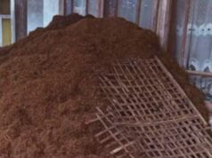 Skandal Penyaluran BLT DBH CHT di Garut: Dugaan Pelanggaran Aturan dan Pengondisian Pemangkasan