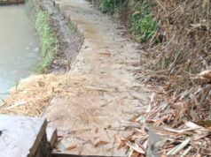 Di duga program Bankeudes desa Ciela kecamatan Bayongbong rmangkrak oleh pihak ke 3