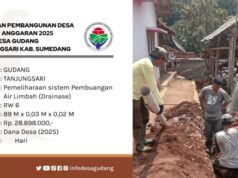Pemerintah Desa Gudang Realisasikan Anggaran Dana Desa Perbaikan saluran Air